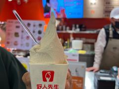 -野人先生现做冰淇淋(北京王府井东方新天地店)