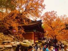 -香山公园