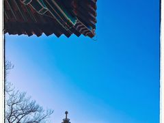-颐和园