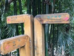 -凤栖山