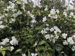 -白石龙音乐公园