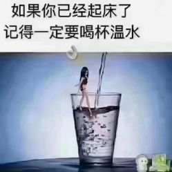 -香薇妮丝·定制减肥·身材管理