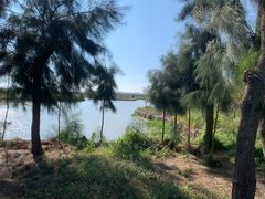 -漩门湾国家湿地公园