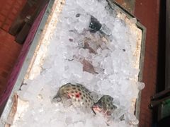 -淇沙湾渔村餐厅