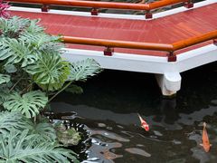 -广州白天鹅宾馆