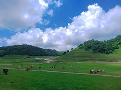 -关山草原