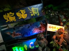 -游龙石文化科普馆