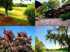 -盘龙城国家考古遗址公园