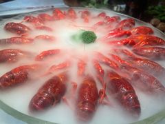 -红盔甲·小龙虾(天钥桥店)