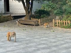 -黔灵山公园