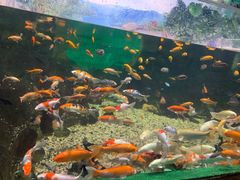 -常州海昌海洋探索馆