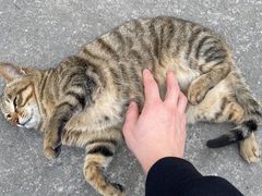 -阿育王寺