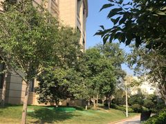 -郑州银基黄帝宫御温泉