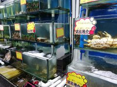 水产区-蚝专家(北滘店)
