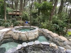 -金方森林温泉