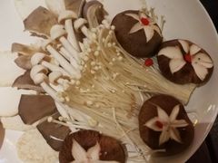 -蜀九香火锅(营口店)