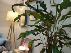 -COTTON CAFE(德信·中外公寓店)