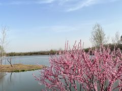 -东郊湿地公园
