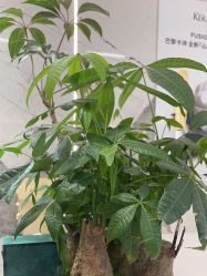 -LJOY丽锦造型·烫发染发