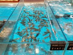 -艳阳天·非遗楚菜(武汉客厅店)