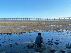 -宝安西湾红树林湿地公园