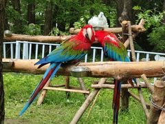 -哈尔滨北方森林动物园