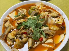 -煲来饱去冷水鱼