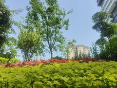 -西安电影制片厂