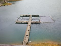 -千岛湖港湾鱼庄