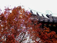 -厦门园林博览苑