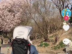 -十号烤场(麦岛店十二年店)