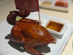 -侨美食家·粤菜(体育西路店)