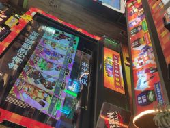 -卡通尼·Safari非洲探索乐园·生日会(金桥国际商业广场店)