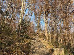 -紫金山山顶公园