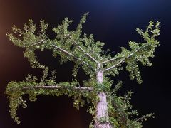 -壹块捌烧烤(灯市口店)