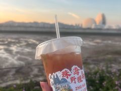 -野狸岛