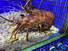 -青蓬蒸汽海鲜·深圳老字号·团建聚会(壹方城店)
