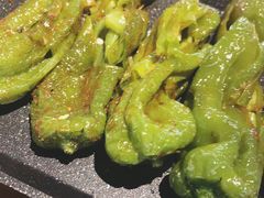 烤辣椒-很久以前羊肉串(昌里路三钢里店)