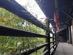 -大唐贡茶院