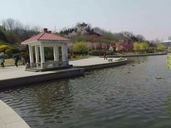 -山东理工大学