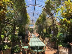 -The Grounds of Alexandria