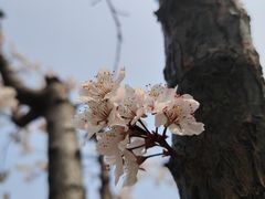 -青岛鑫江温德姆酒店