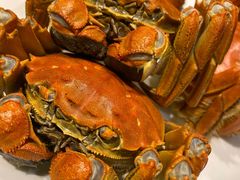 -王宝和酒家(黄浦店)