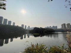 -重庆彩云湖湿地公园