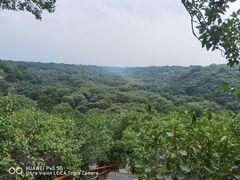 -大青沟风景区