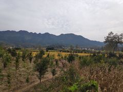 -黟县屏山村