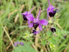 -崇阳三特浪口温泉