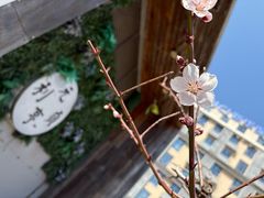 -然一素食餐厅(马利来广场店)