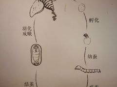 -苏州丝绸博物馆