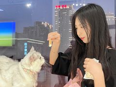 -怪兽屋·羊驼·猫咖·狗咖(俊华广场店)